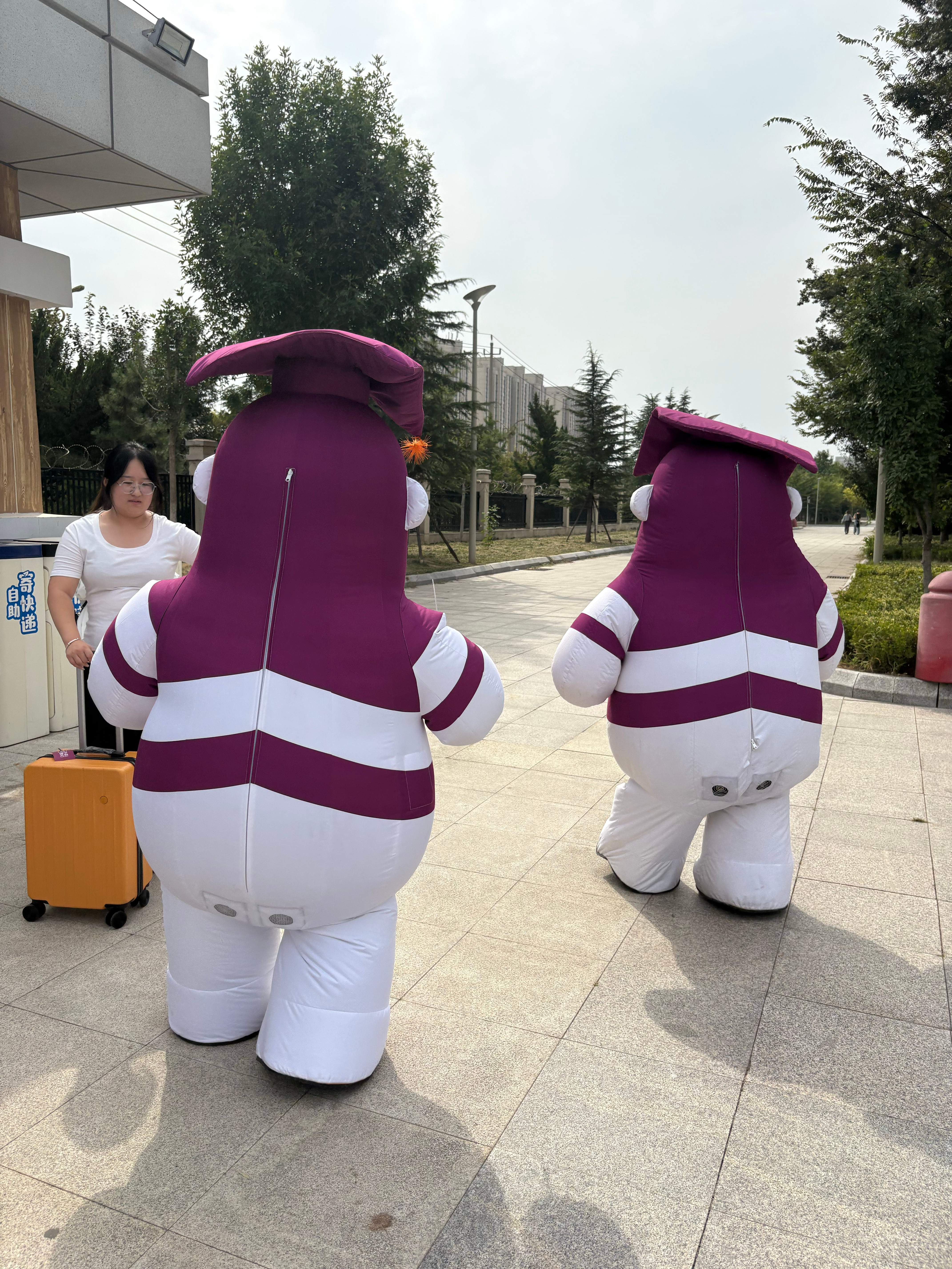 忙活忙活不知道忙的啥反正我挺忙活智博上岸礼智博智多猩 ​​​