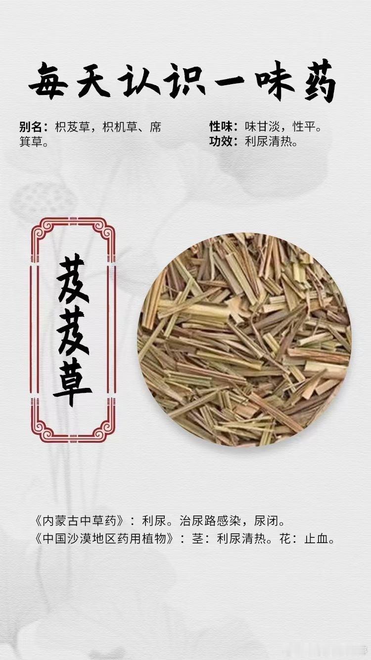 #每天一味中草药##国医的精诚力量# 【每天认识一味药】🌹芨芨草[庆祝]别名：