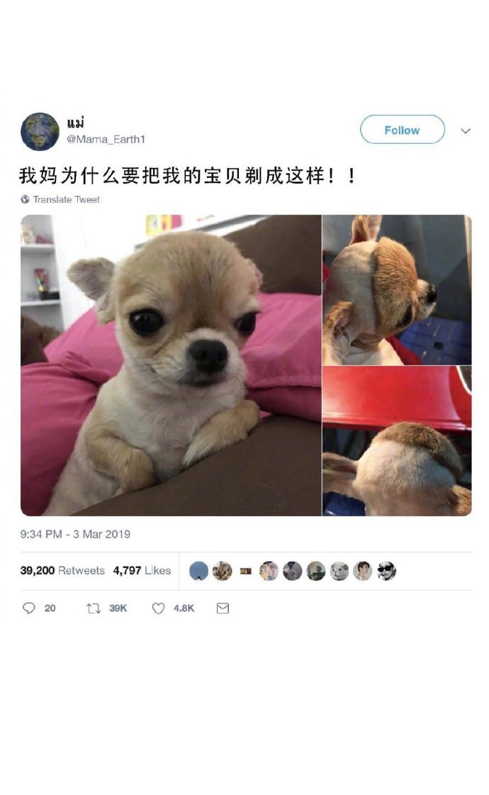 它太热了，听妈的，你小时候就是这么养的， ​​​