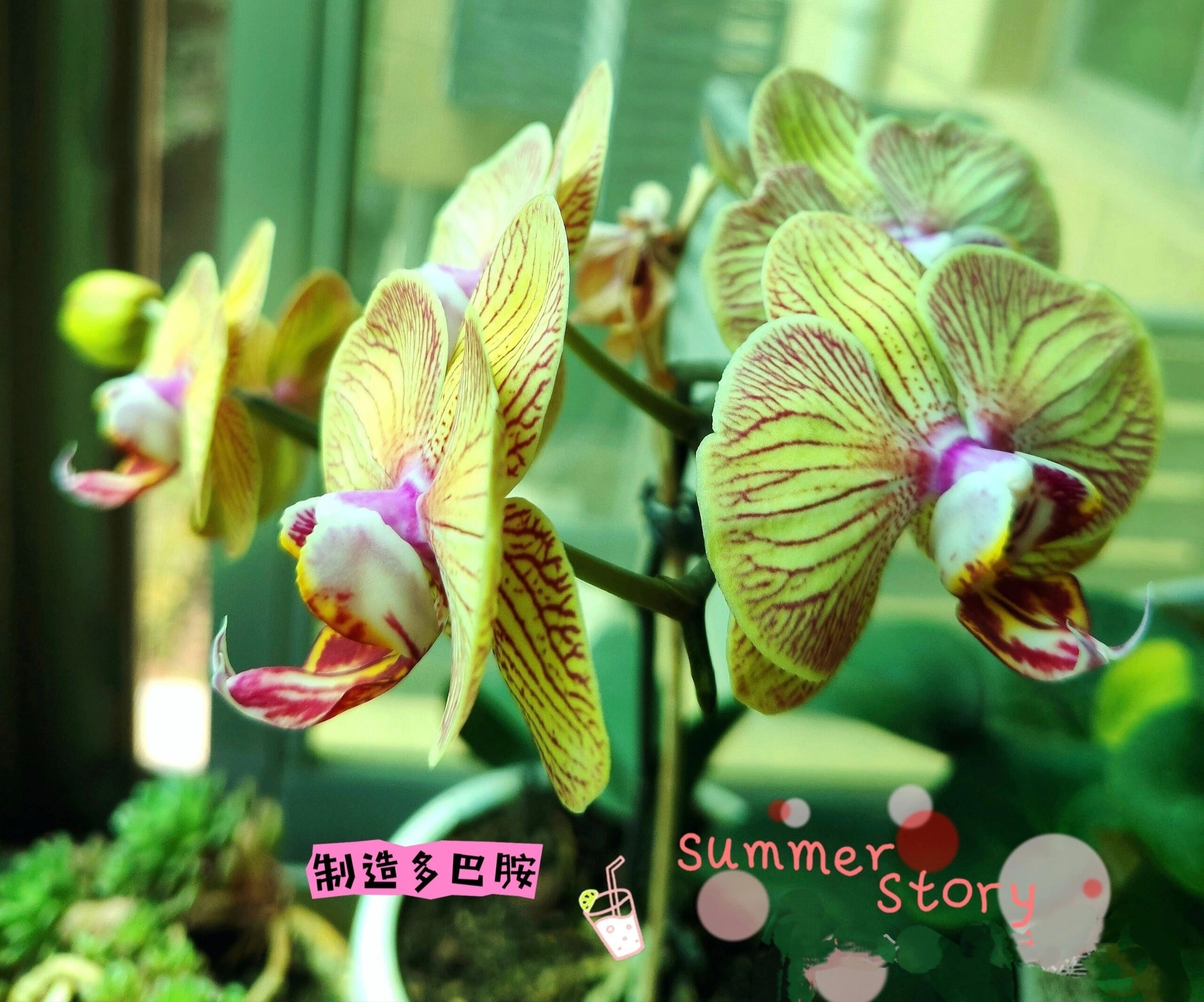 【余生好好爱自己】半生已过，余生好好爱自己！1 . 人生感悟🌷生活最好的样子，