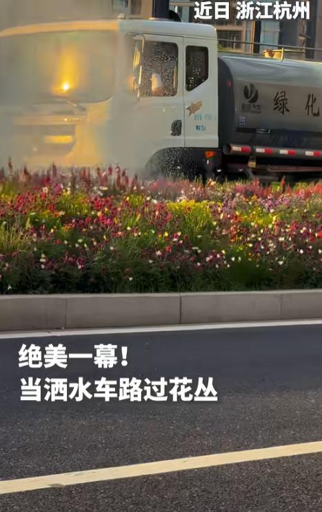 “绝美一幕！”杭州街头，一辆普通的洒水车火了。当时正值晚高峰，路边的花丛开得正艳