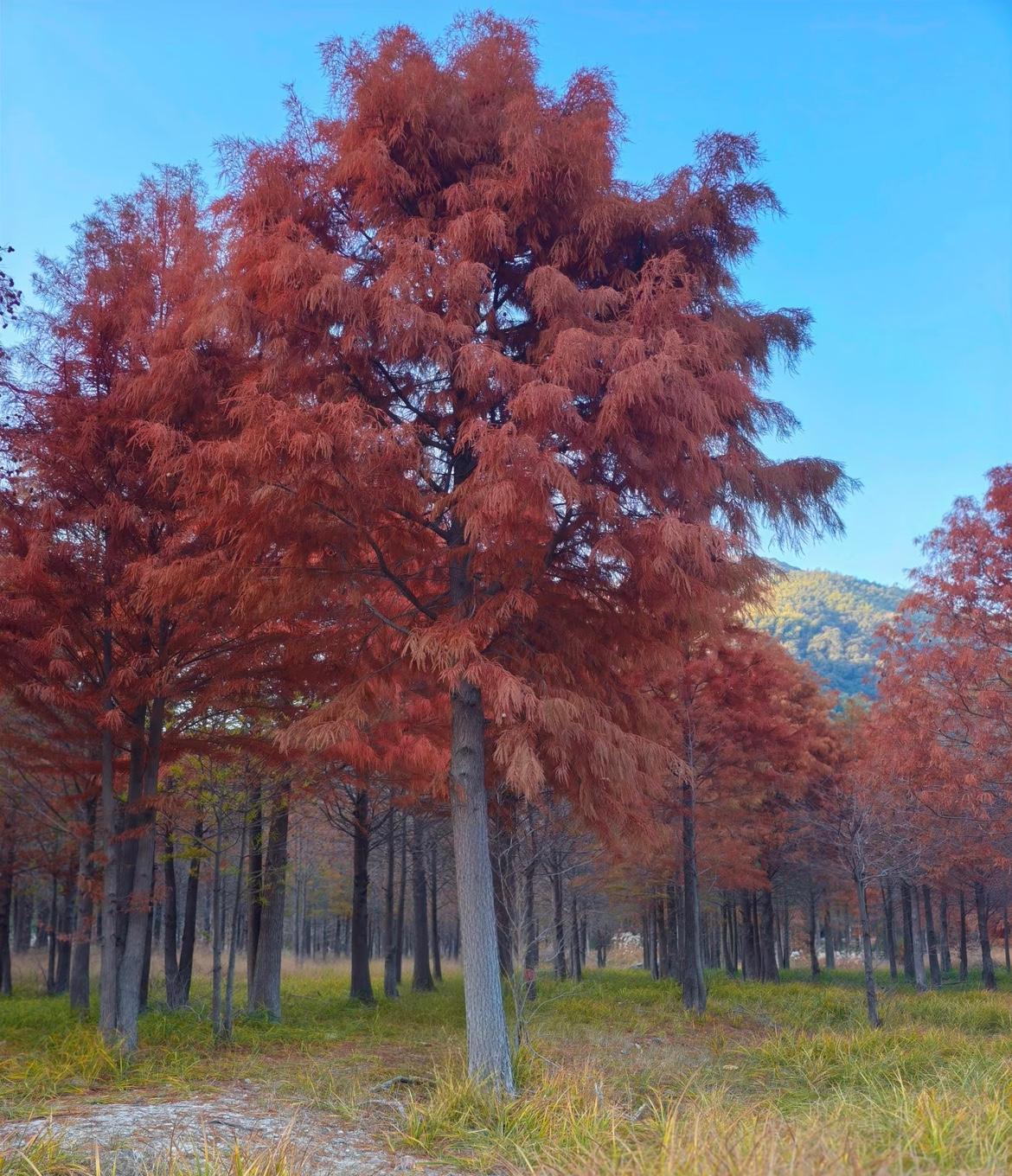 年初那会儿，对着空白文档咬笔头，憋三天憋不出两行字。

后来干脆摆烂——直到八月