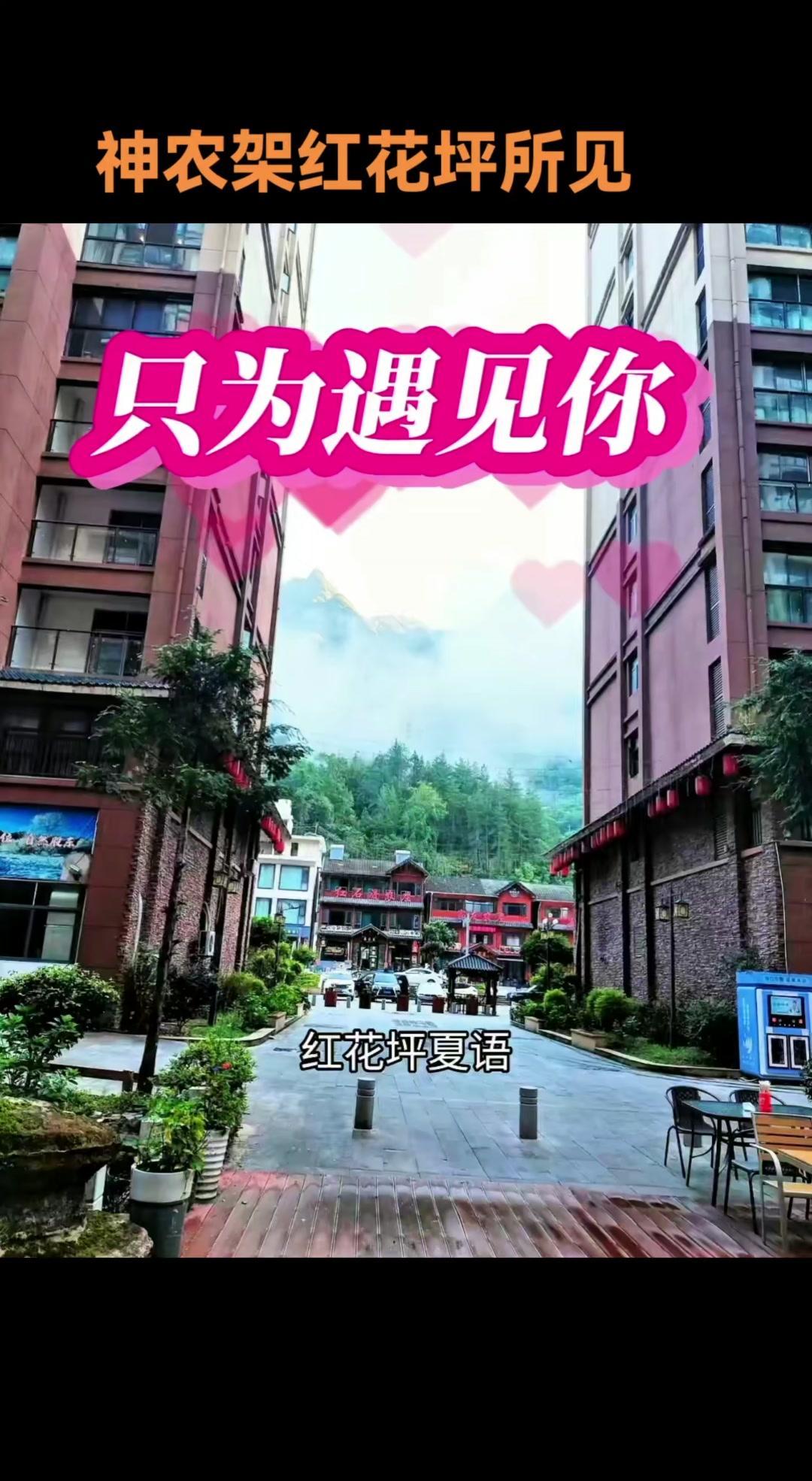 下雨时风从冷杉的指缝间滑下，带着松脂与泥土的私语，红花坪不是被阳光叫醒，是被露水