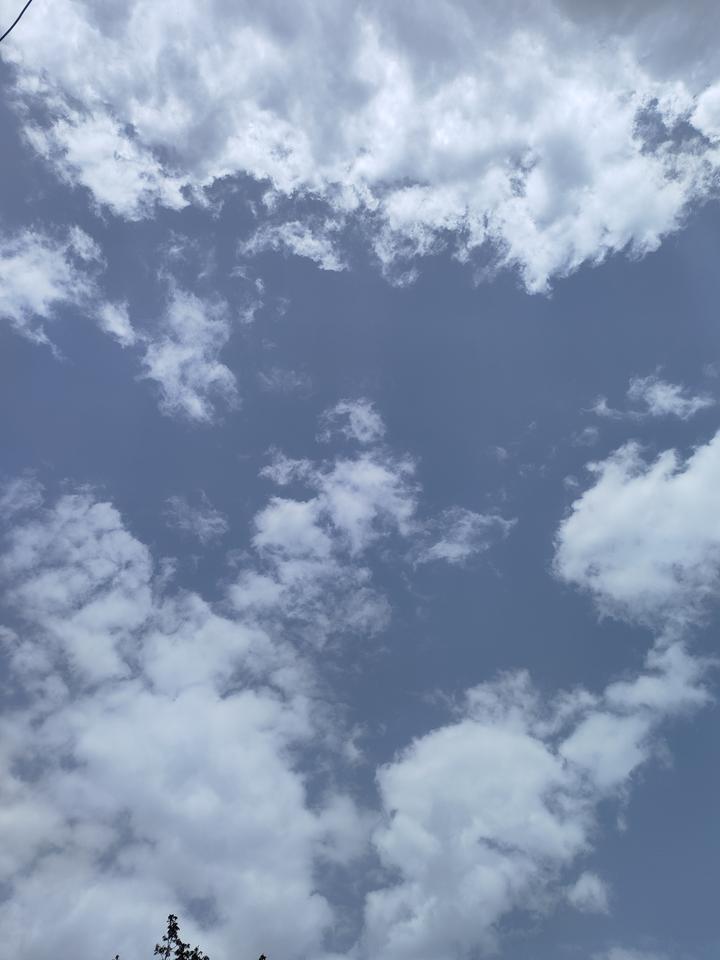 抬头撞见这片天——蓝是浸了凉的软，云是揉碎的棉。风没声，树轻晃，日子突然慢成了一