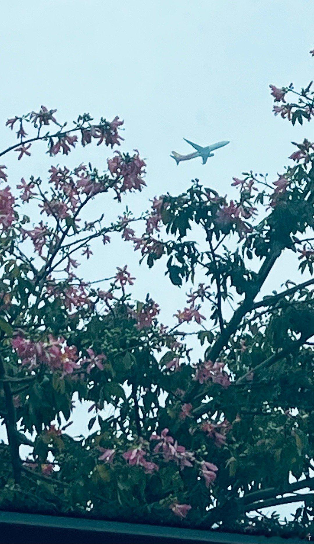 大巴玻璃太脏了天气也不太好本来是个刚刚好的瞬间