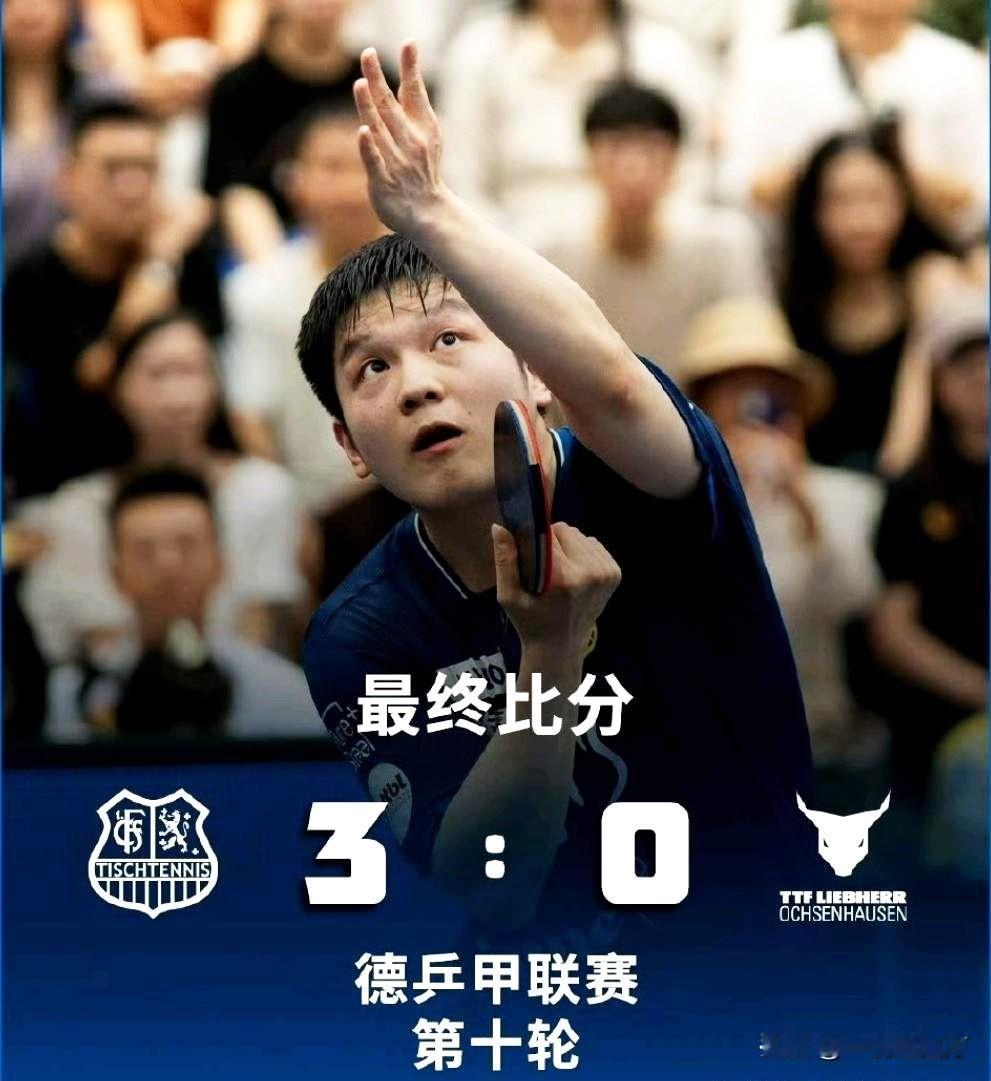 世乒联总决赛昨天在香港落幕，樊振东也在德甲联赛迎来时隔70天后的新赛段首秀，在德