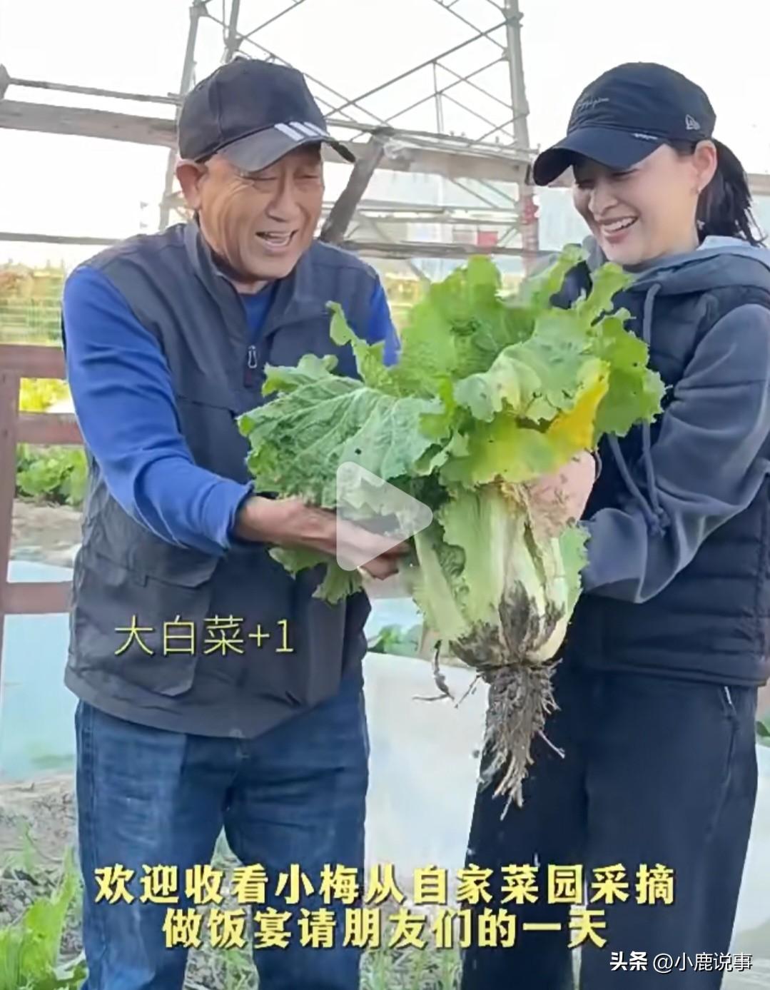 大家别光羡慕梅婷住得好，
她真正让人羡慕的，是那种踏踏实实的好日子。她家一年到头