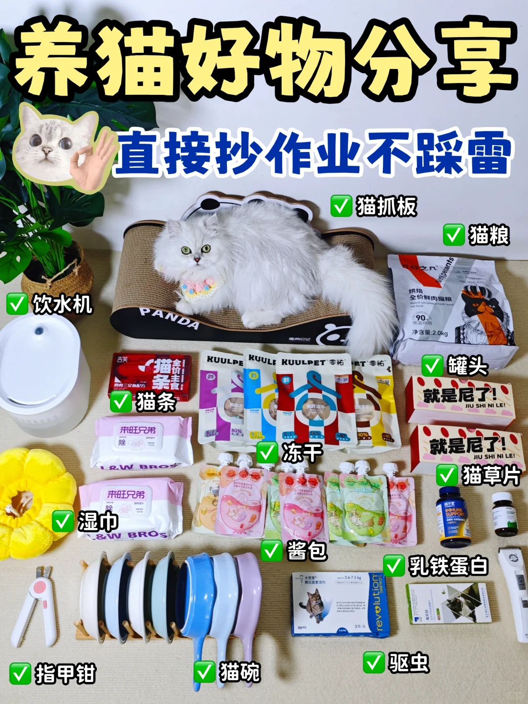 养猫好物分享🐈直接抄作业不踩雷✅
