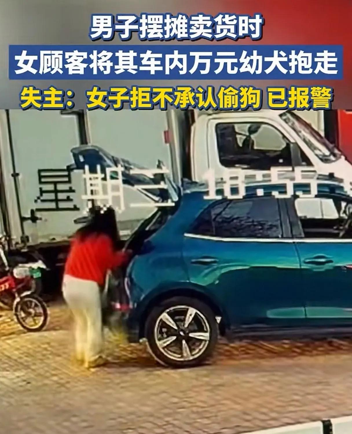 也太魔幻了，女子就那么明目张胆的把人家的狗抱走，脸上还带有得意的微笑，她应该是不