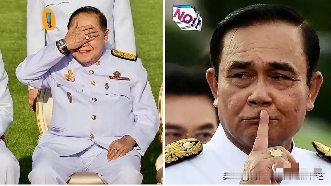 这可能是全球政治史上“性价比”最高的一顿晚餐了……

在泰国联泰建国党晚饭后核心
