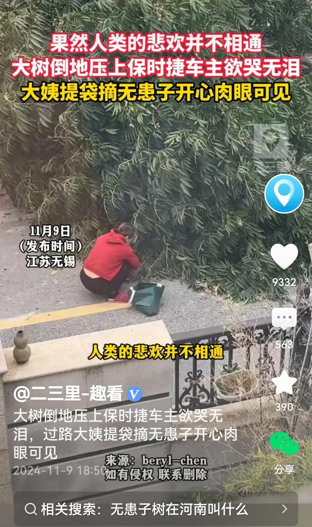 #大树倒下砸豪车 阿姨开心薅果子#
是的，视频里看到，大树倒了，砸在豪车上，阿姨