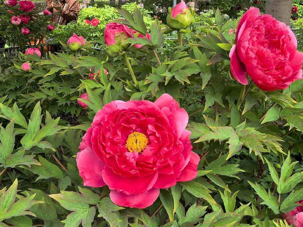 【小对联】
上：任命；
下：……？