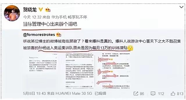 贺晓龙，这个曾因劣迹被足球队开除的翻译，同时也是和王勤伯、易小荷一道，通过恶意协