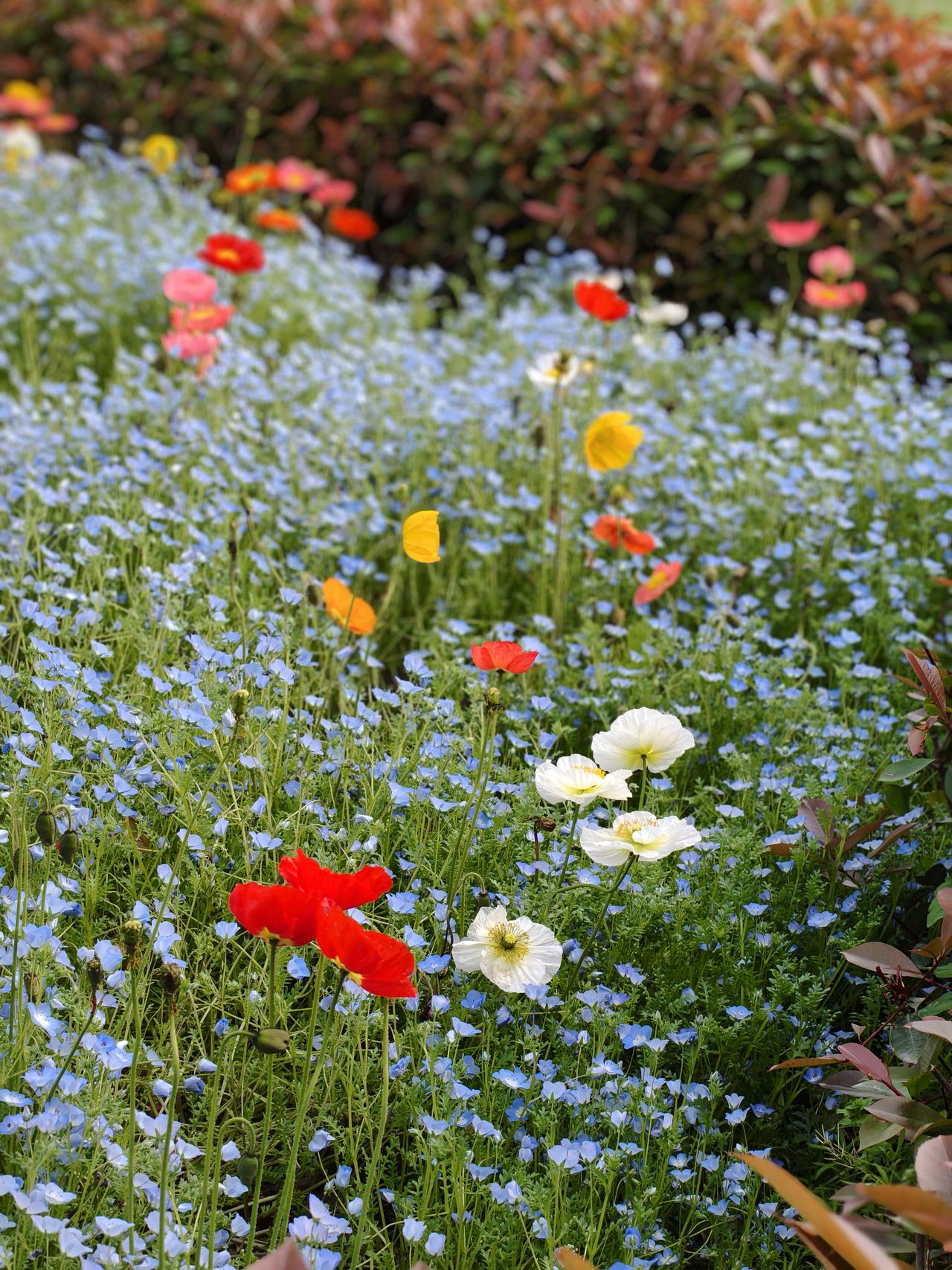 ☀️
美好的一天开始啦！

认真乐观地对待每一天，好运自会接连而来。