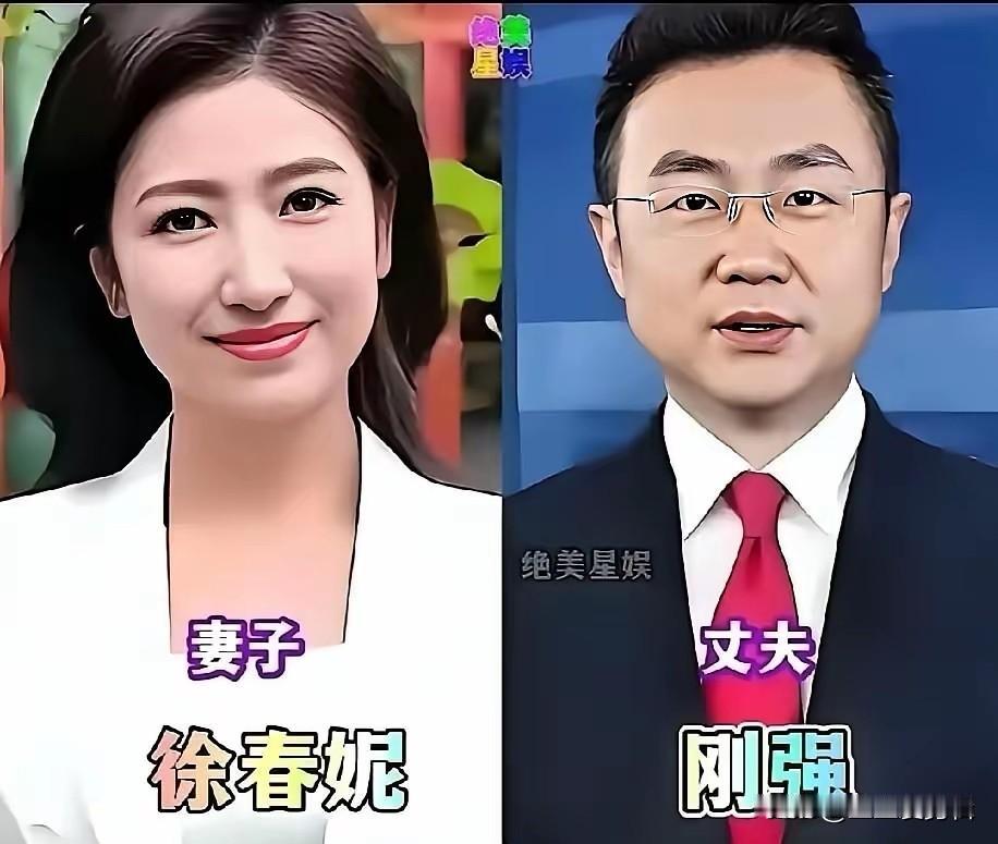 徐春妮和刚强
白岩松和朱宏钧
朱迅和王志
他们的感情没有轰轰烈烈的桥段，更多是互