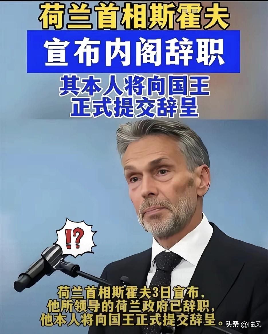 重磅！消息
​荷兰首相，和整个内阁，辞职了！
原因并非强行收购中国公司，但这一辞