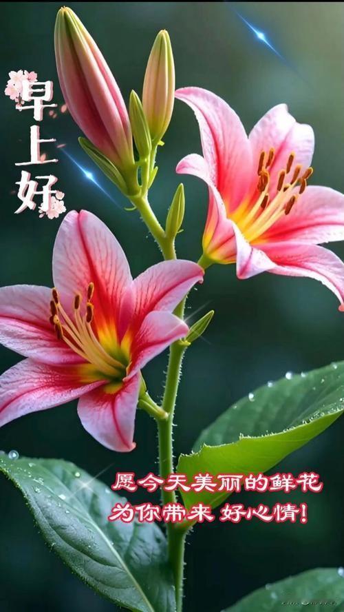 春暖花开美胜画。