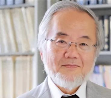 日本生物学家大隅良典拿诺贝尔奖，靠的是一个惊人发现：饿肚子时，身体会主动“吃掉”