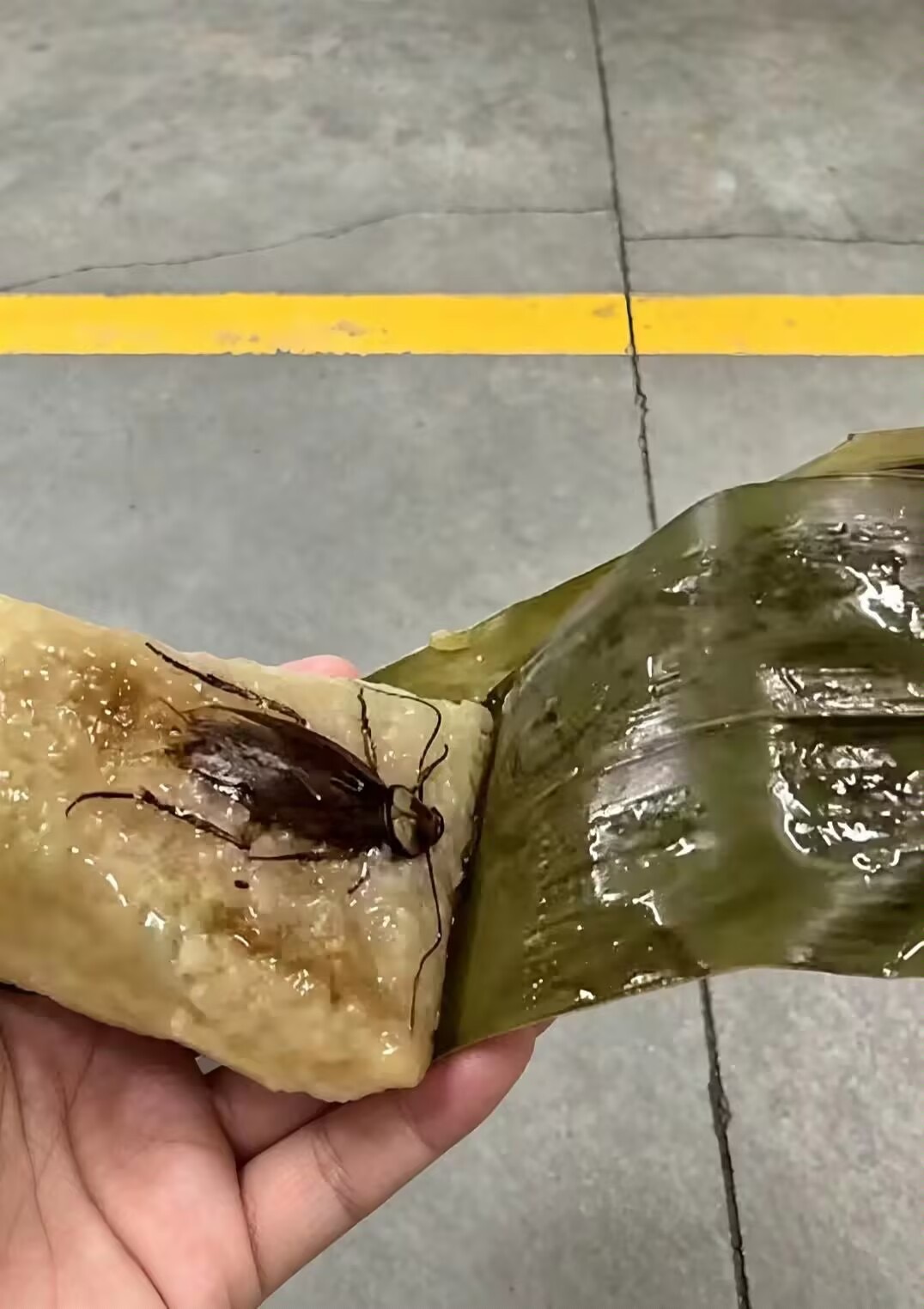 吃粽子吗？ 