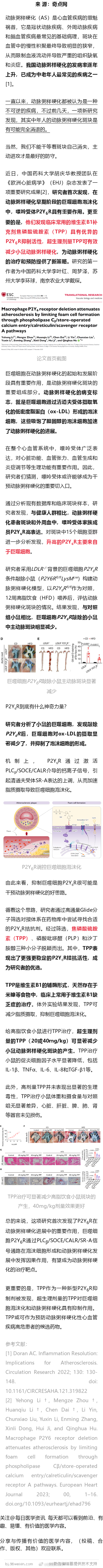 EHJ：重磅！中国药科大学团队首次发现，维生素B1补充剂焦磷酸硫胺素或可预防/治