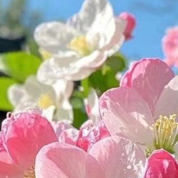 每日一善  每日一善   阳光信用 偶尔一些很努力也不被重视，很辛苦却得不到回答