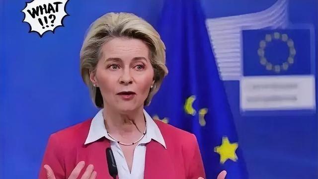 欧盟27国，集体跪了！欧盟这次，意见出奇地一致。二十七个国家，全都举手同意了。4