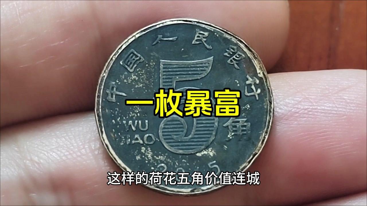 🔥荷花五角藏着“发财密码”？🍀荷花五角分两种：金黄和银白。2002-2018