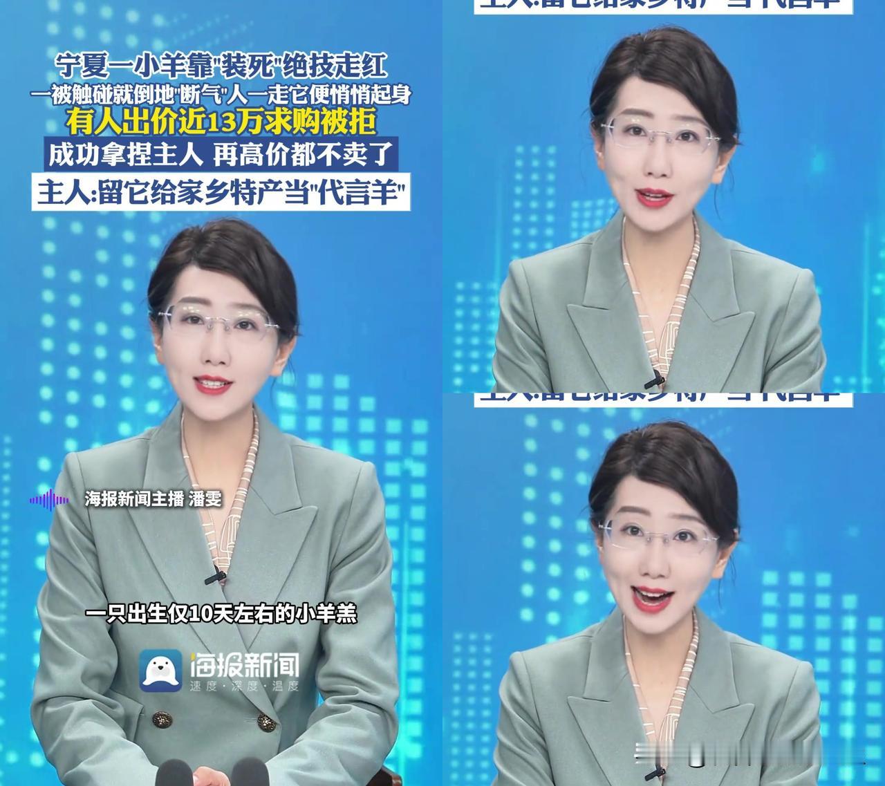 宁夏那只10天会装死的小羊，现在13万都不卖了。

本来赶集时没人要，一摸就