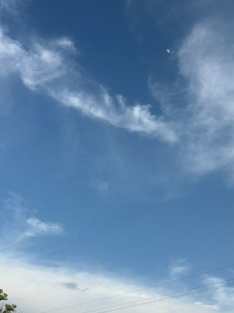 阳光信用  阳光信用 互动打卡 即使再严酷的寒冬，冬必为春。这是宇宙的法则、生命