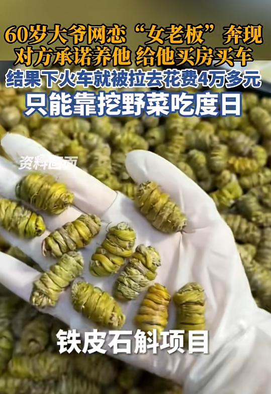 “人财两空！”5月30日报道，河南，一60岁大爷与女网友相恋，对方说自己是公司老