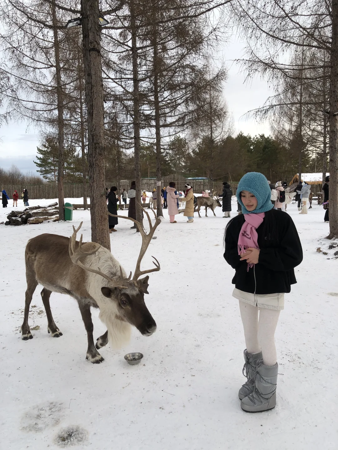 想跟鹿玩玩可是太怕了哈哈哈🤣