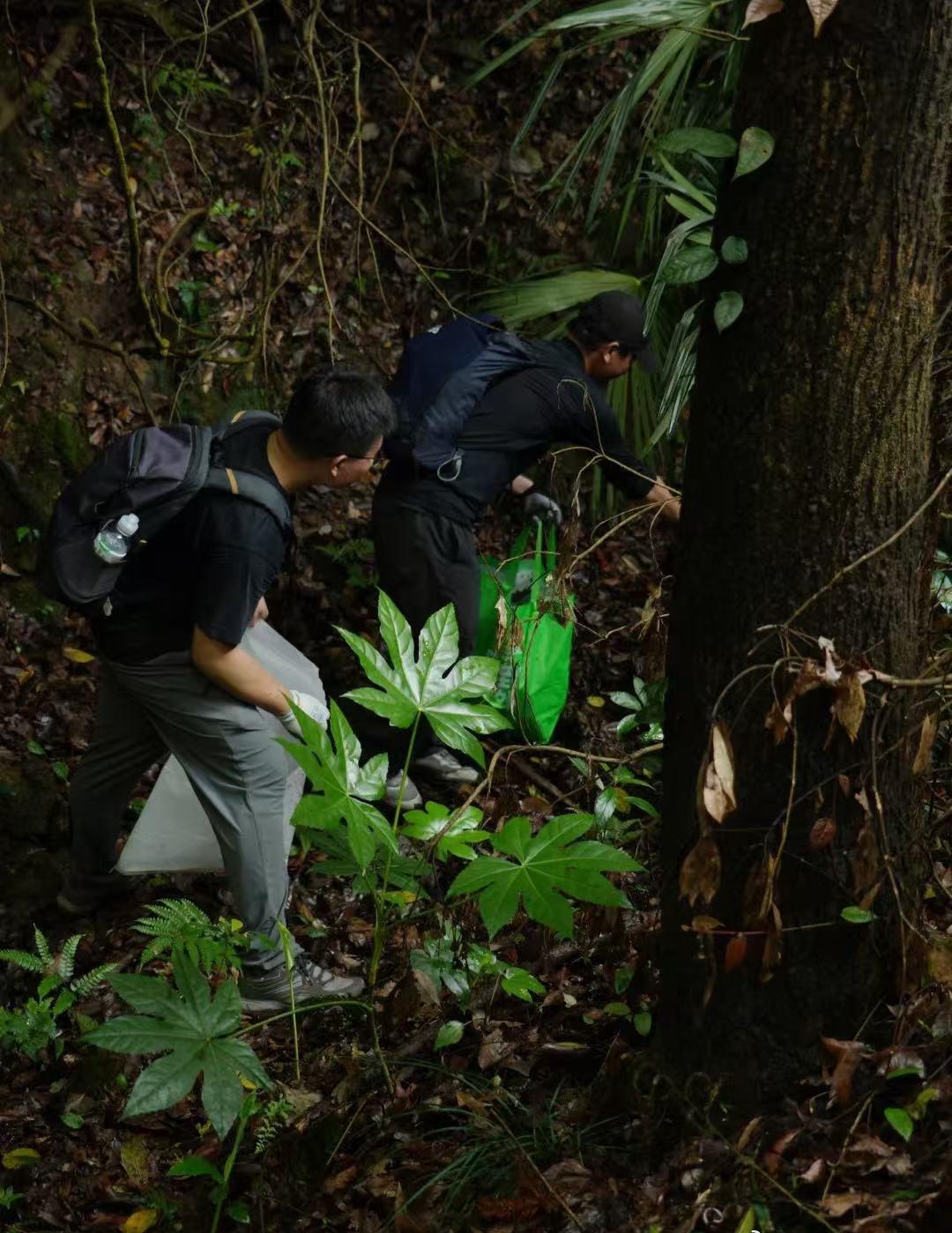 垃圾分类做扎实，植树护绿不停歇，全民环保不是口号，而是杭州人日常的真实写照 杭州