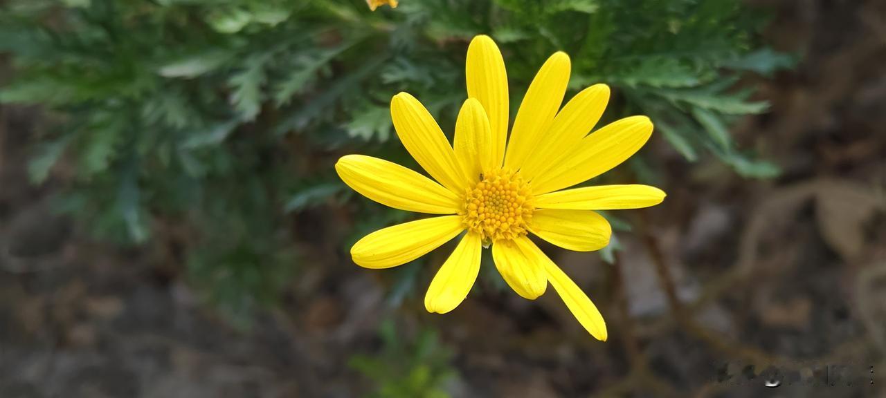 不婚不育不能没朋友，不然遇有意外会很惨
一个女子在医院照顾住院的父亲，遇到一四十