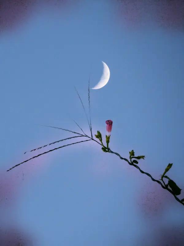 愿望：
1，以后1000年都能看春花秋月。
2，花花世界迷人眼，愿吾独醒。
3，