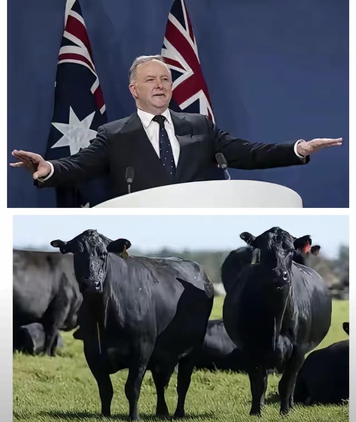 最新消息！
2025年12月31日，中国东部战区“正义使命 - 2025”演习圆