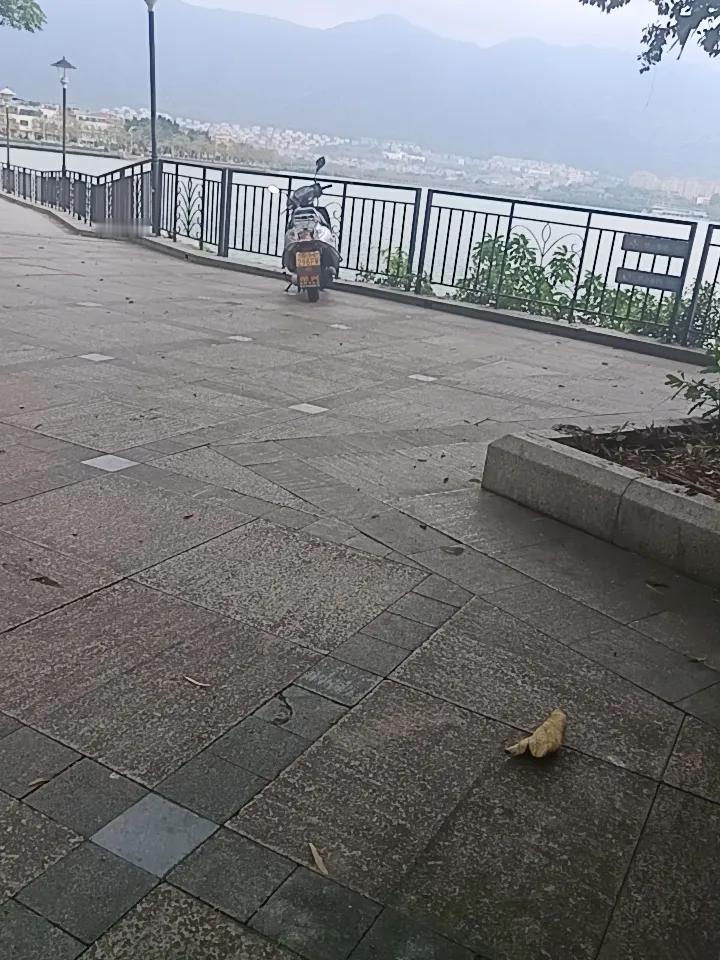 家人们谁懂啊，这就是肇庆的星湖
拍每一张照片都很出片。