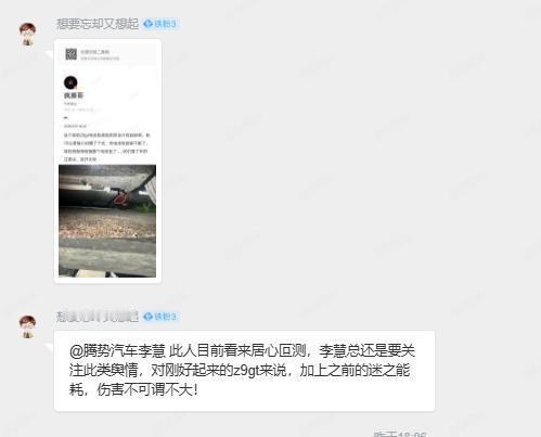 腾势官方盖棺定论？疯膜哥被打成Z9GT恶意购车。服了，一个车主真金白银的买车，直