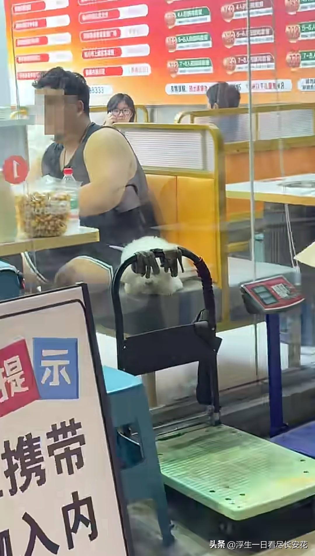 果然这个牌子是给老实人看的，养宠人想带宠物进店就能进入，狗依然可以上桌，多么温馨