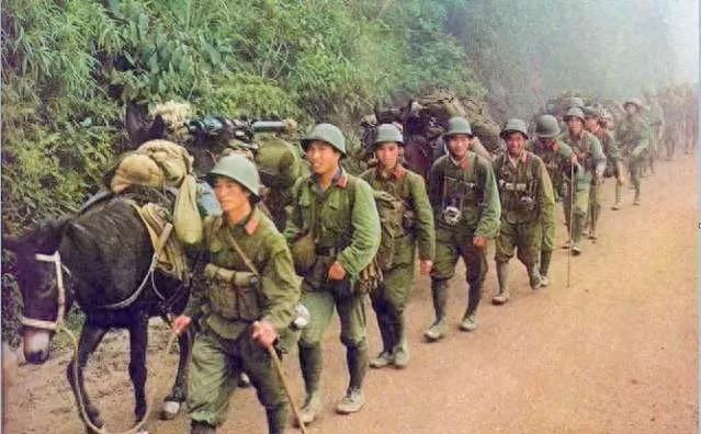 1979年对越作战中50军主力师被俘二百多人、五百人失散，相关失误军官如何被处罚