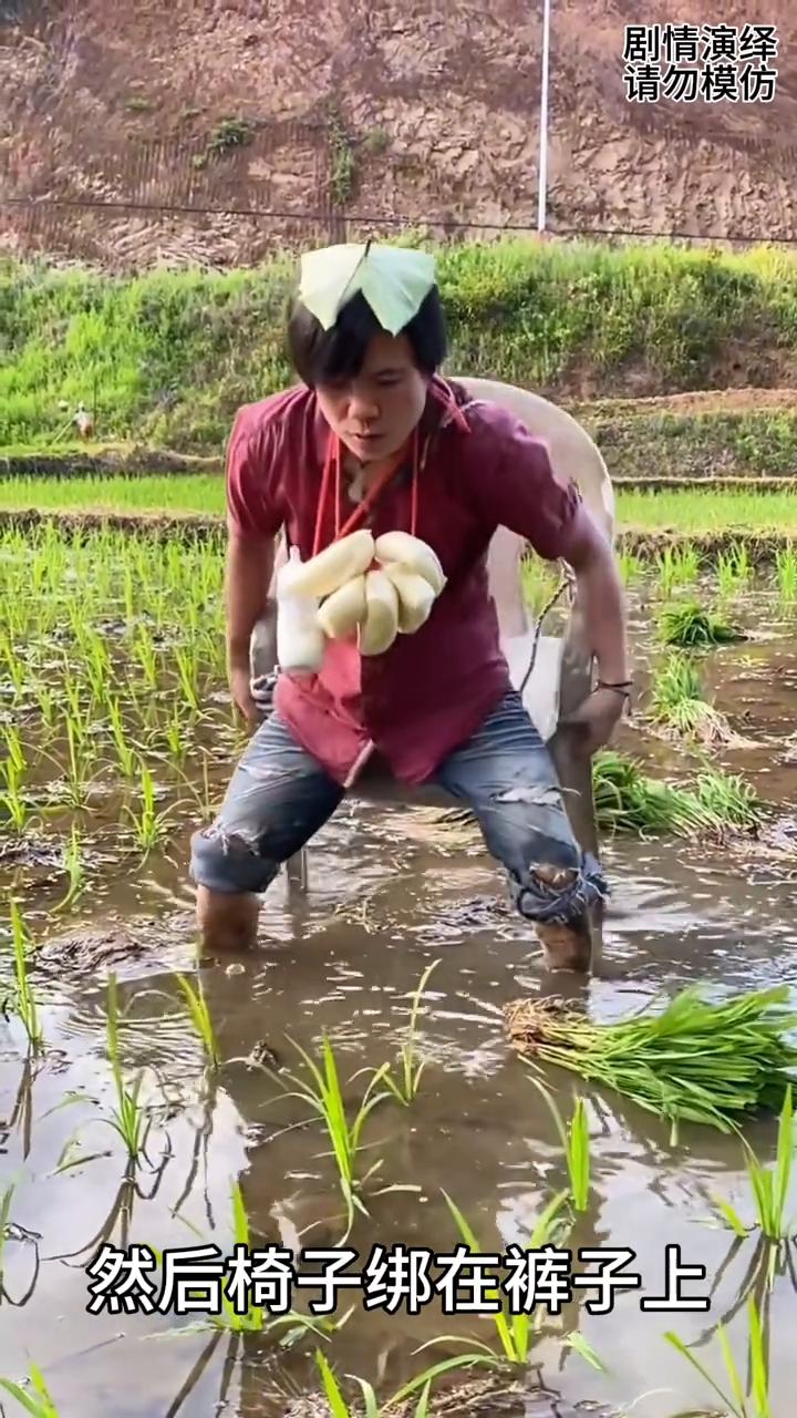 男子插秧时脖子上挂着馒头，这一幕真的太有才了。
男子来地里插水稻，只见他脖子上挂