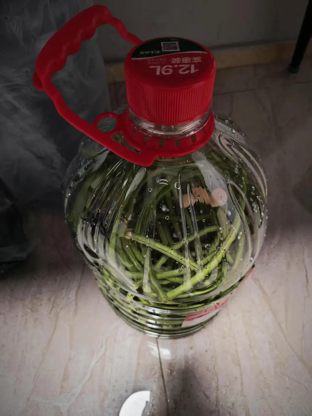 今天六一，去天河智慧农业公园摘了豆角，豆角好多都是有虫的，喜欢，在广州菜市场上很
