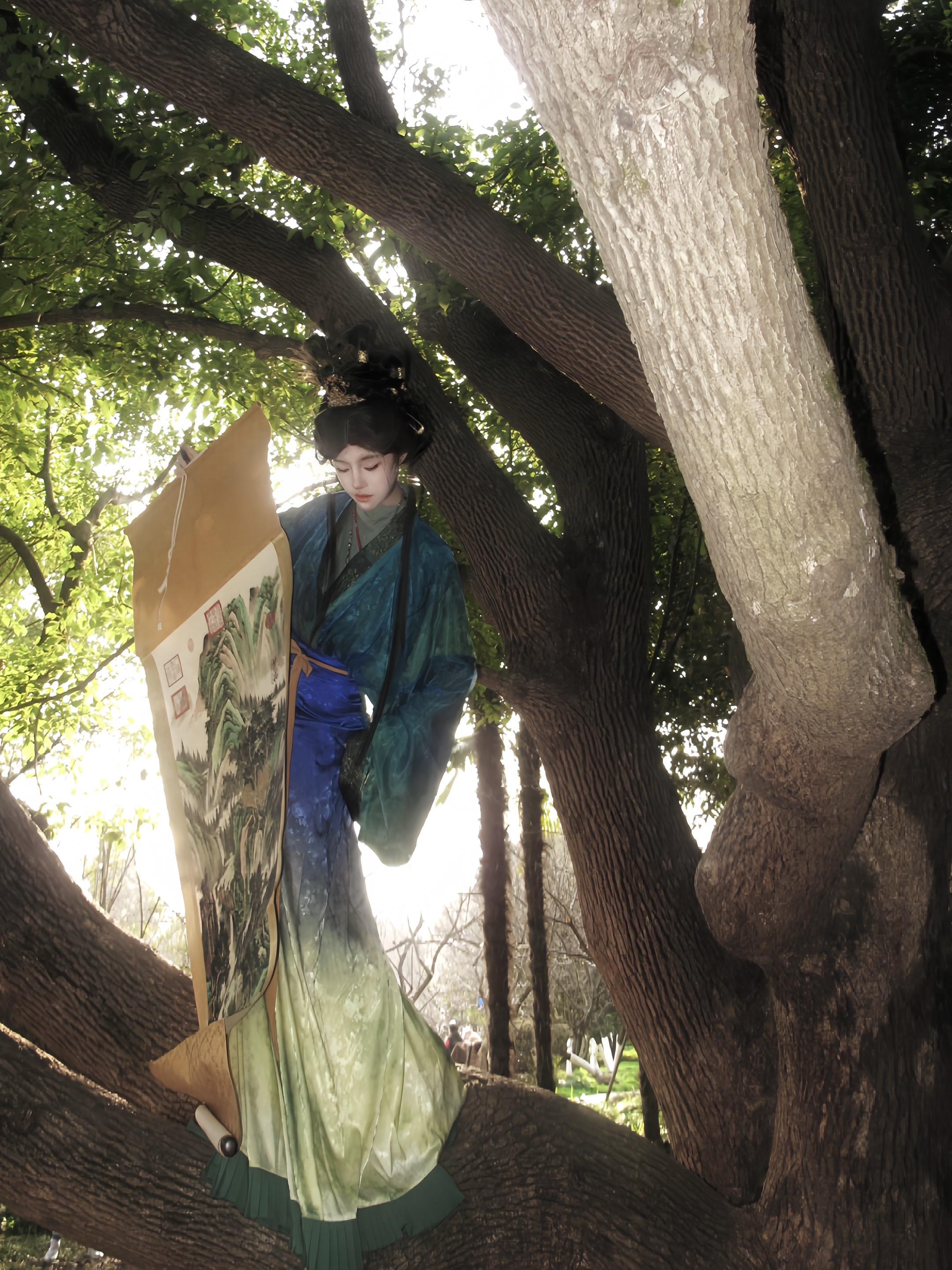 路边树 种因果.