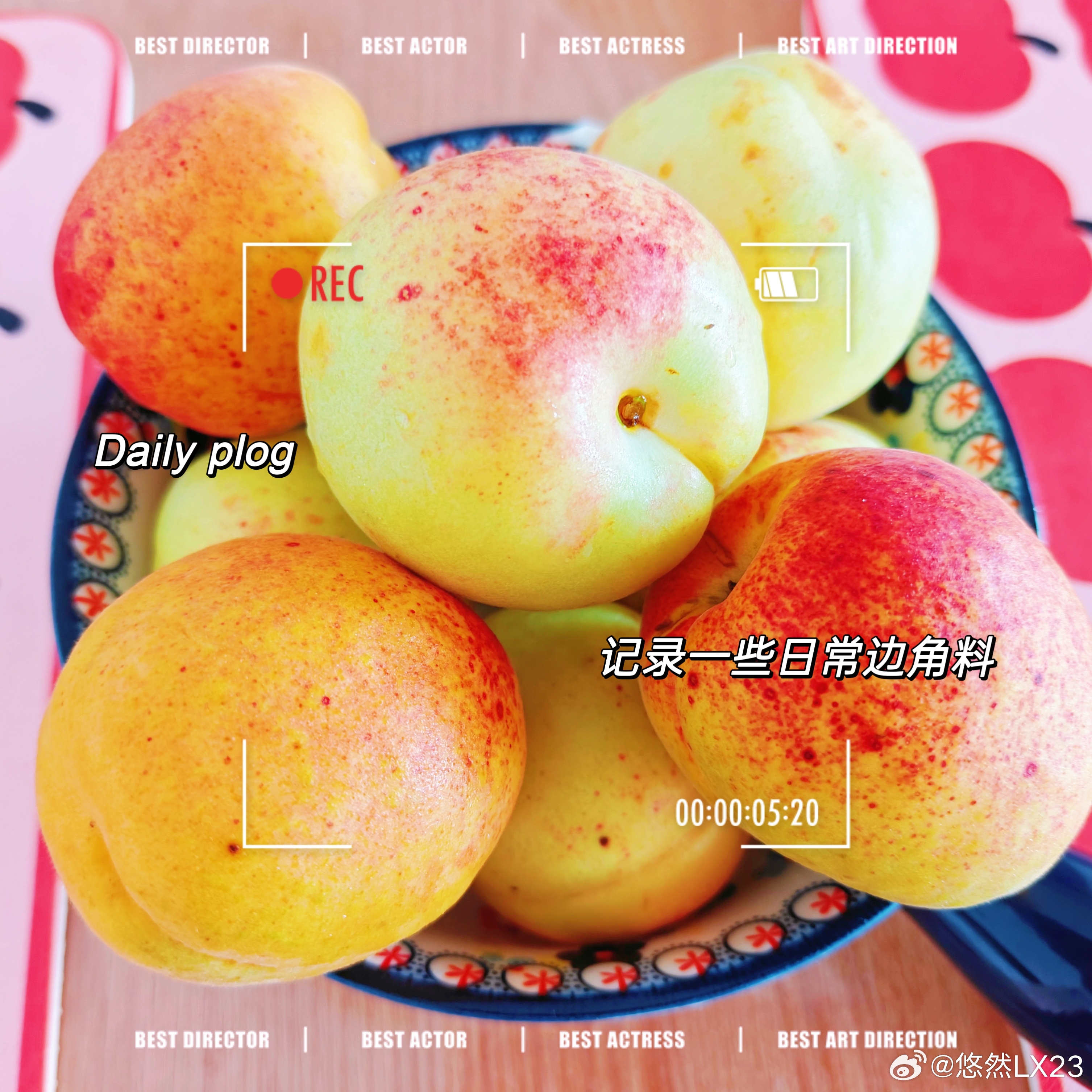 本地杏子大部分都下树了杏子的品种有很多今天买的是大香白和刀杏日常分享随拍