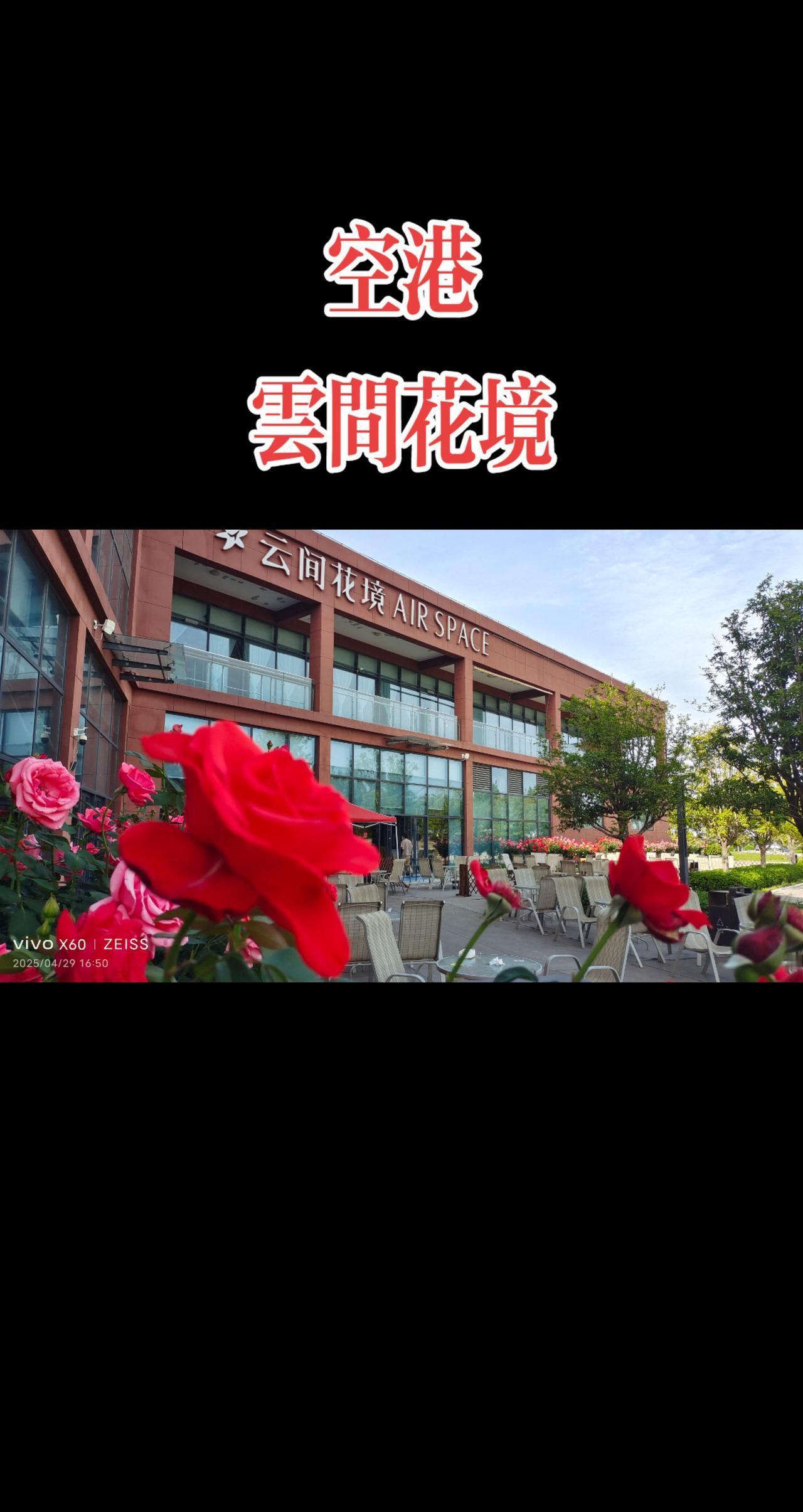 看见音乐 随拍 人间四月天