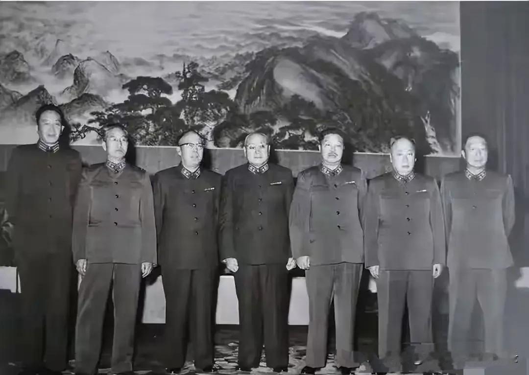 罗瑞卿大将、徐向前元帅、罗荣桓元帅、刘伯承元帅、贺龙元帅、陈毅元帅、聂荣臻元帅。