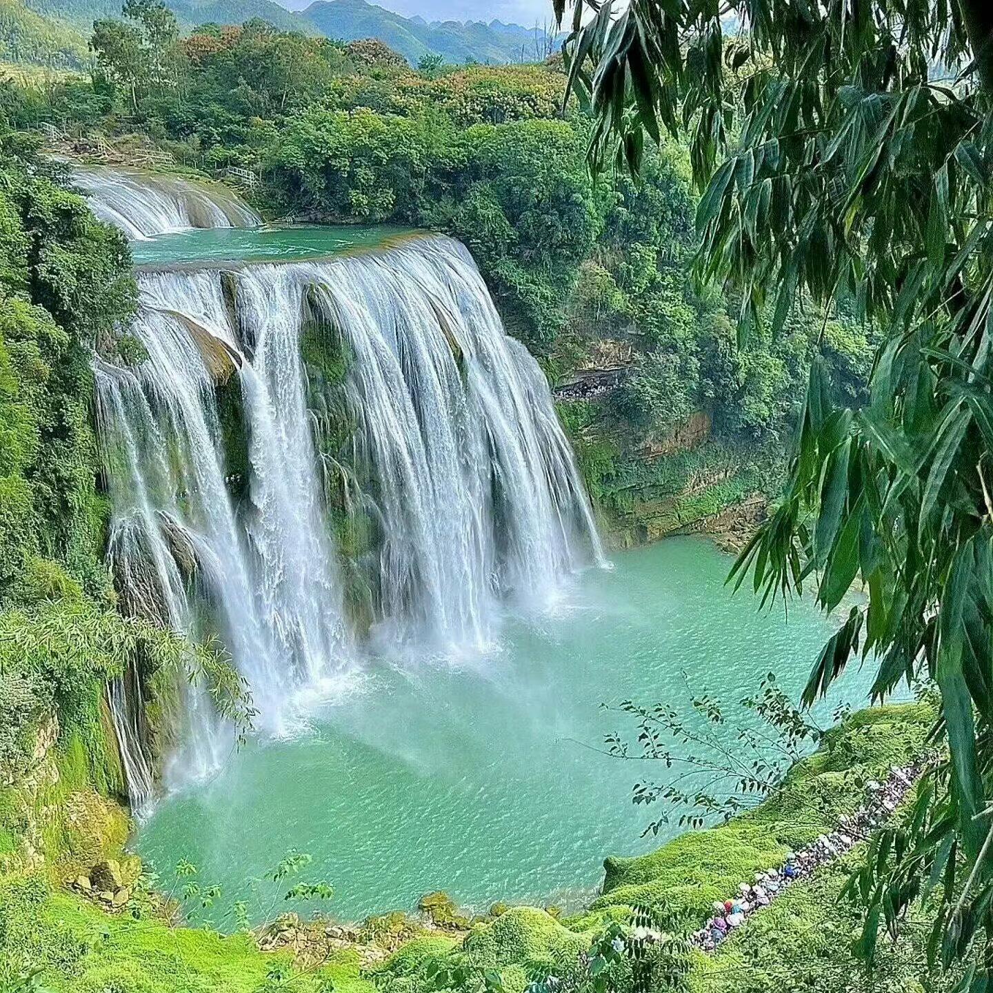 治愈风景背景图⋅˚ .大自然浪漫至极🦋🌺🌼 
