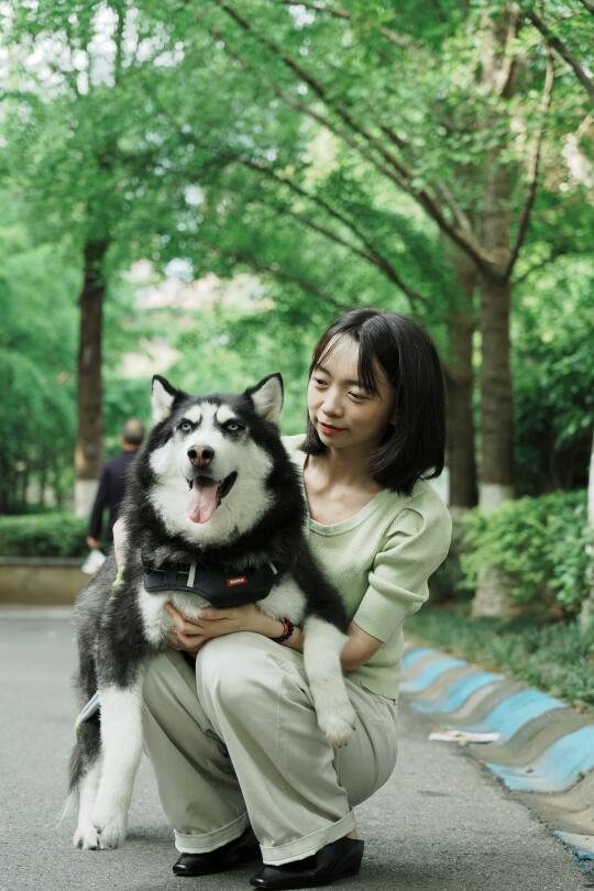 我对二哈如此深情，它却对我爱搭不理