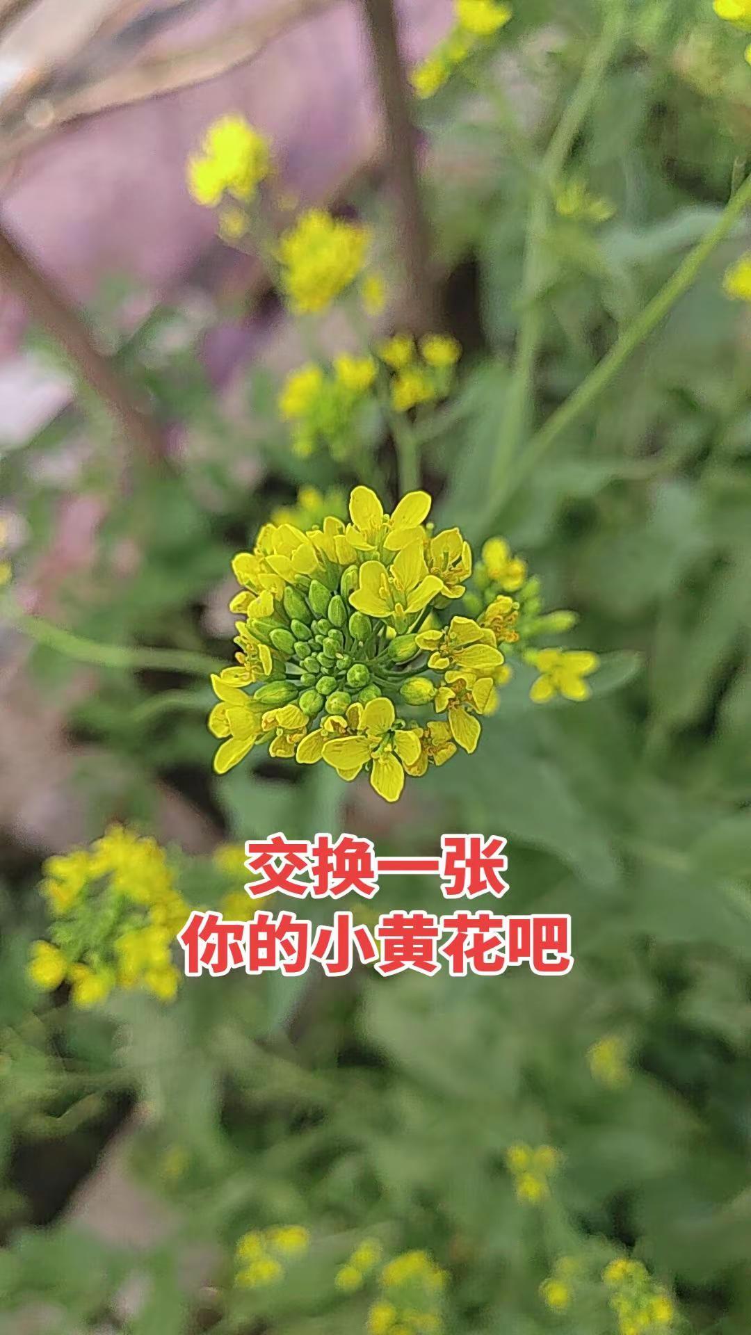 人不就是这么回事吗，当你能给对方带来好处的时候，他的人性是善良，当你不能给对方带