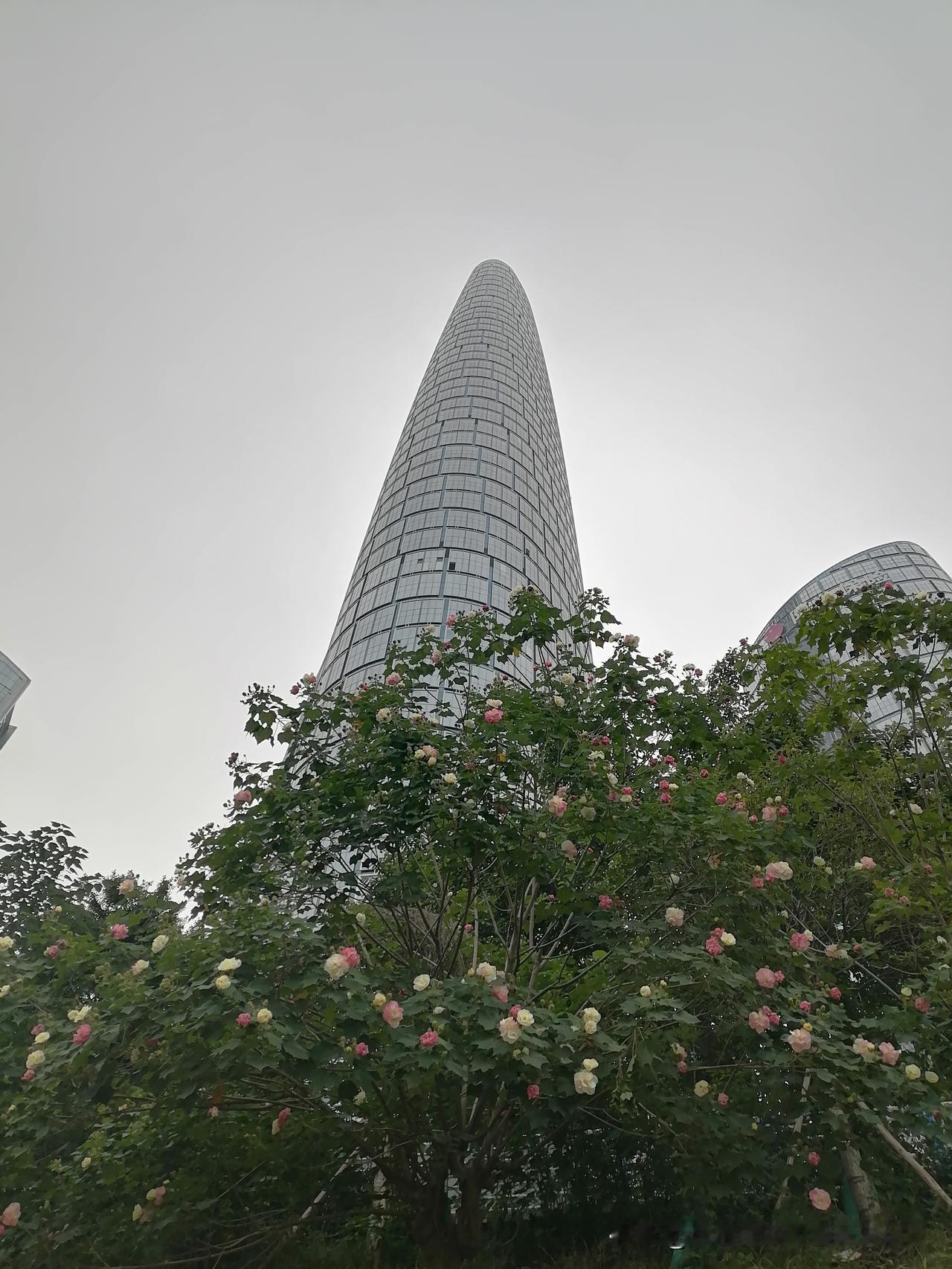 随手拍下一张天空照