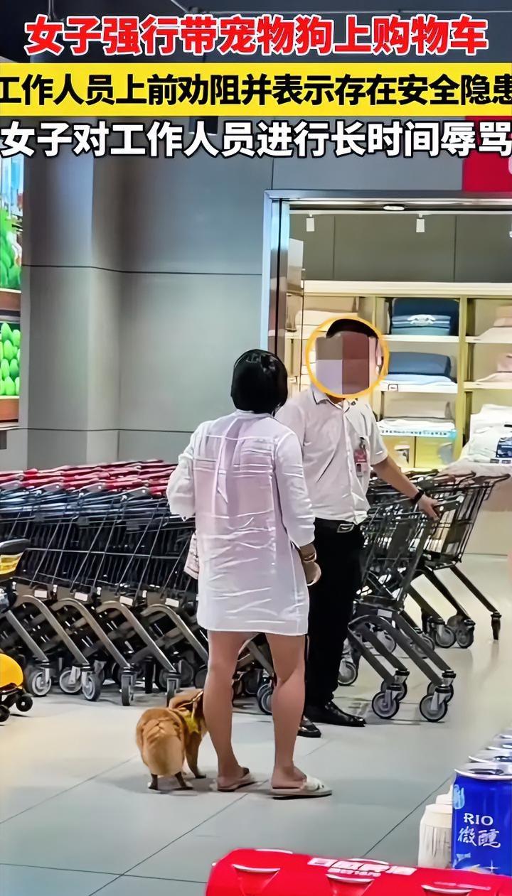 购物车是装商品的，不是装狗的。
海南三亚一女子在超市长时间追着工作人员辱骂，就因